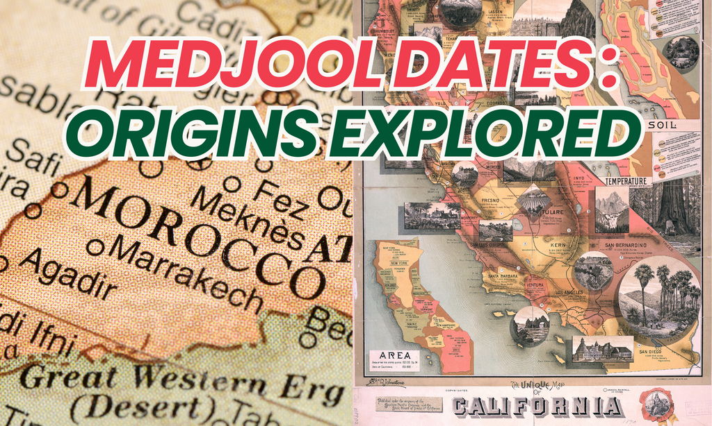 Medjool Dates Origin: Tracing the History of Nature’s Sweetest Treat