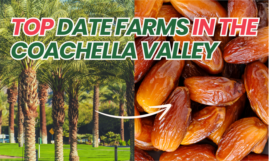 Top Date Farms in Coachella Valley: Visit California’s Date Paradise