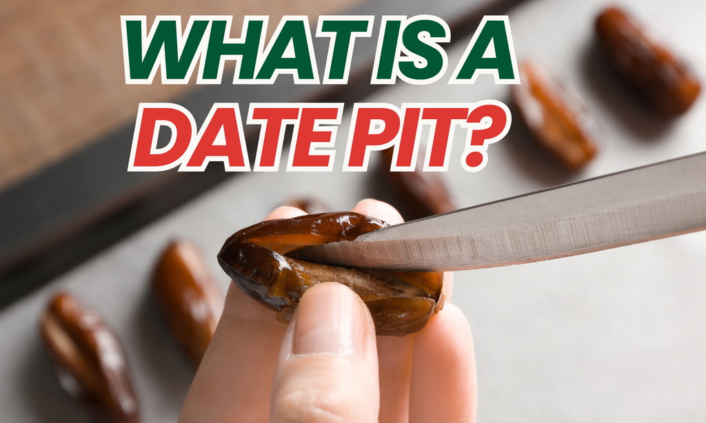 What is a Date Pit? Uses, Benefits, and Sustainability Explained