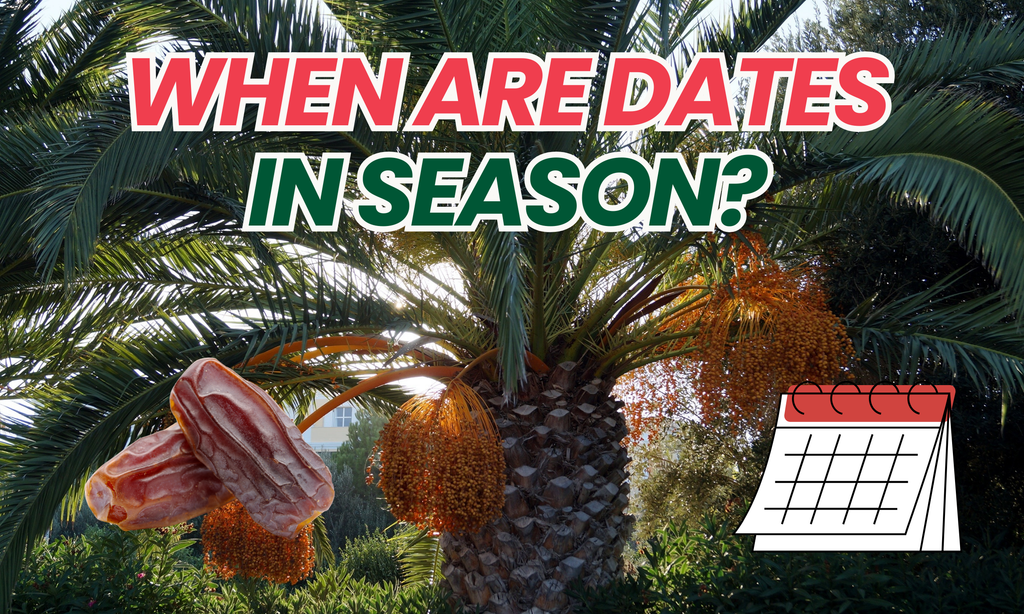 When Are Dates in Season? A Guide to Harvesting and Availability